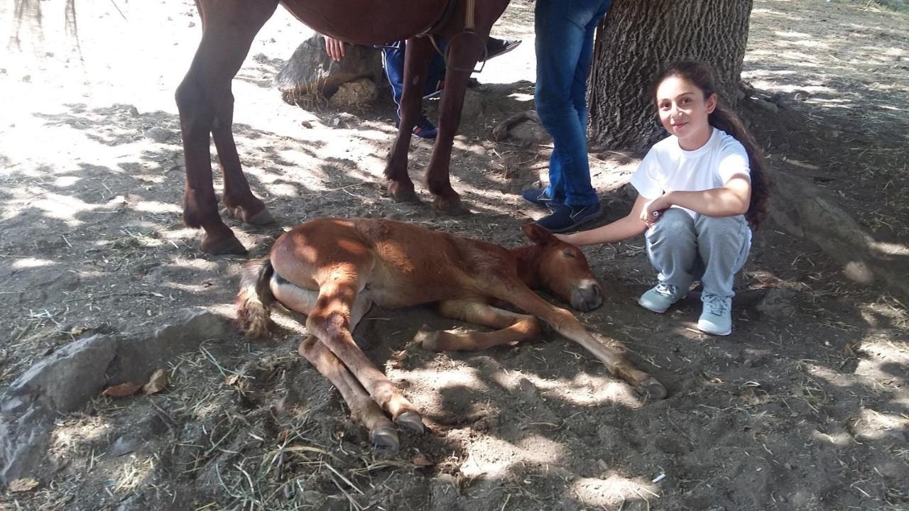 Shushan Guest House Yeghegnadzor Esterno foto